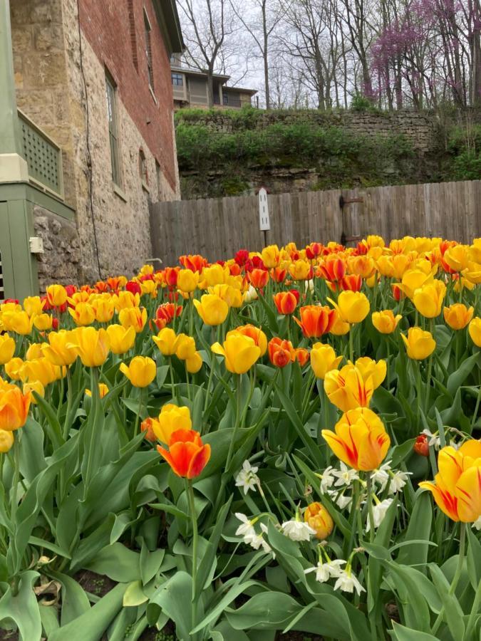 Abe'S Spring Street Guest House กาลีนา ภายนอก รูปภาพ